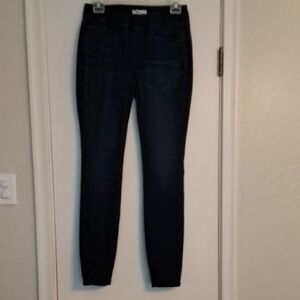 Eileen Fisher Blue Skinny Jeans